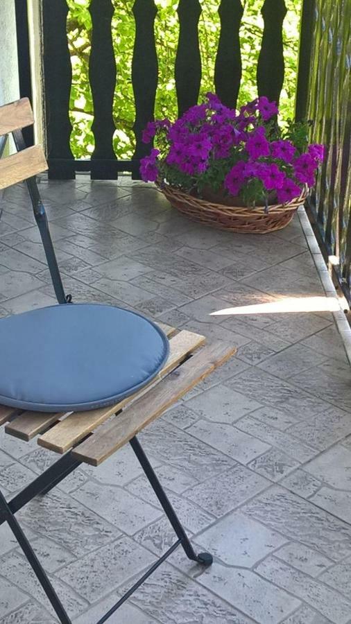 Apartman Ruzica オグリン エクステリア 写真